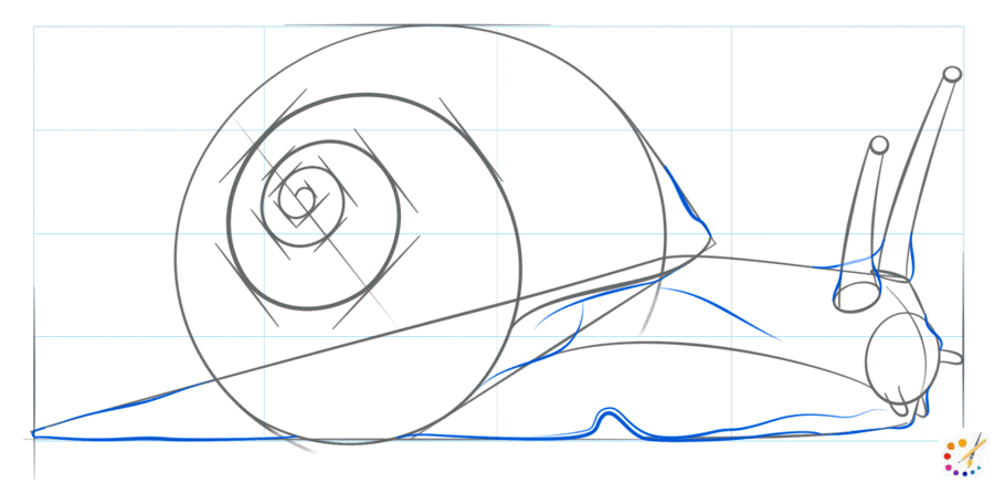 How to draw snail