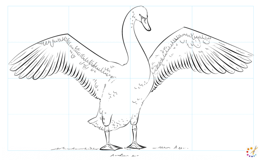 How to draw a swan