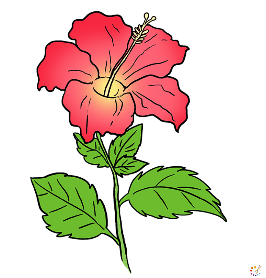 How to draw hibiscus