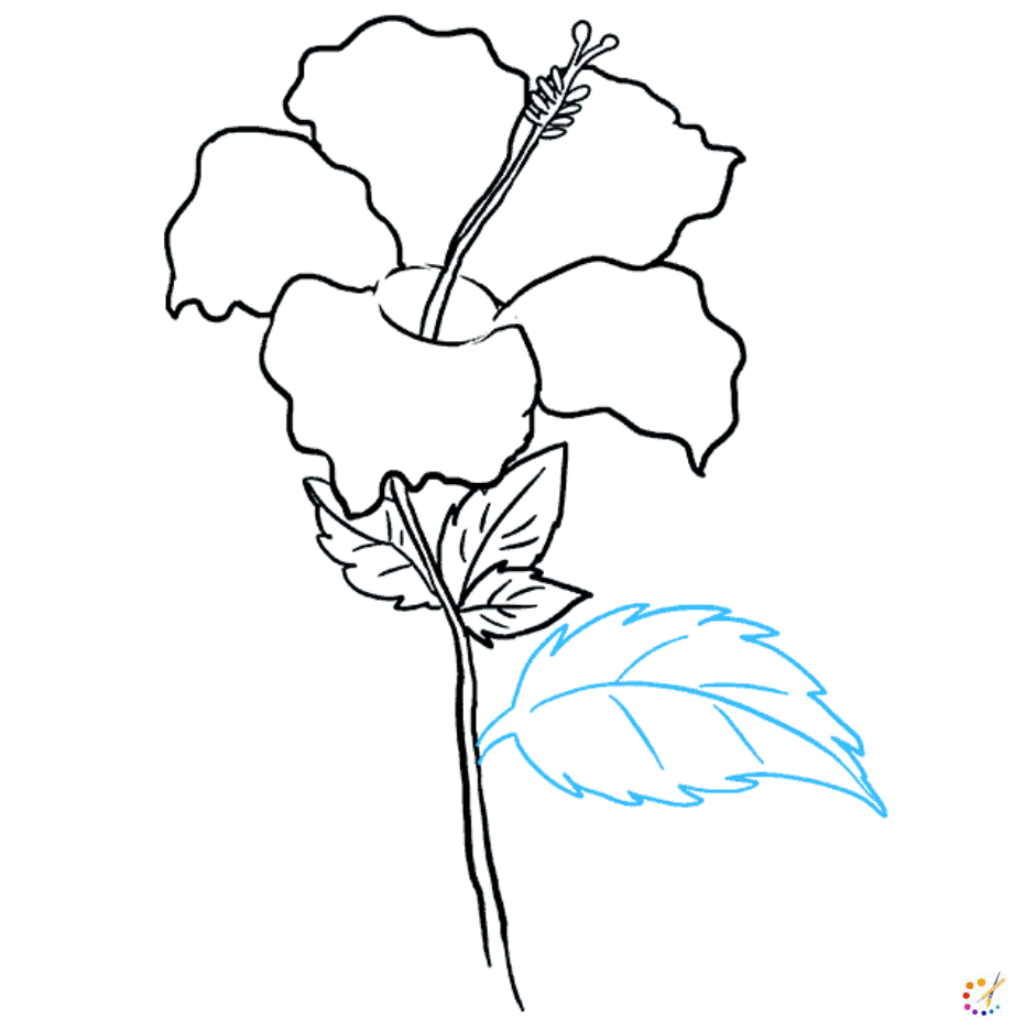 How to draw hibiscus