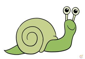 How to draw snail