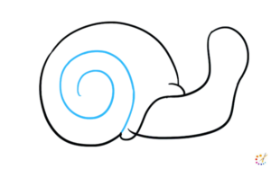 How to draw snail