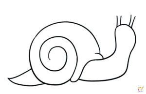 Snail drawing