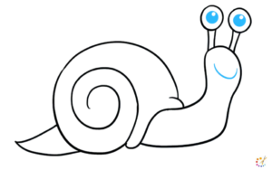 How to draw snail