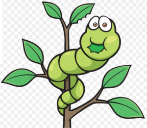 Draw caterpillar