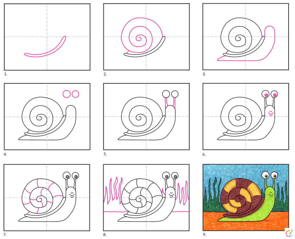 Snail drawing