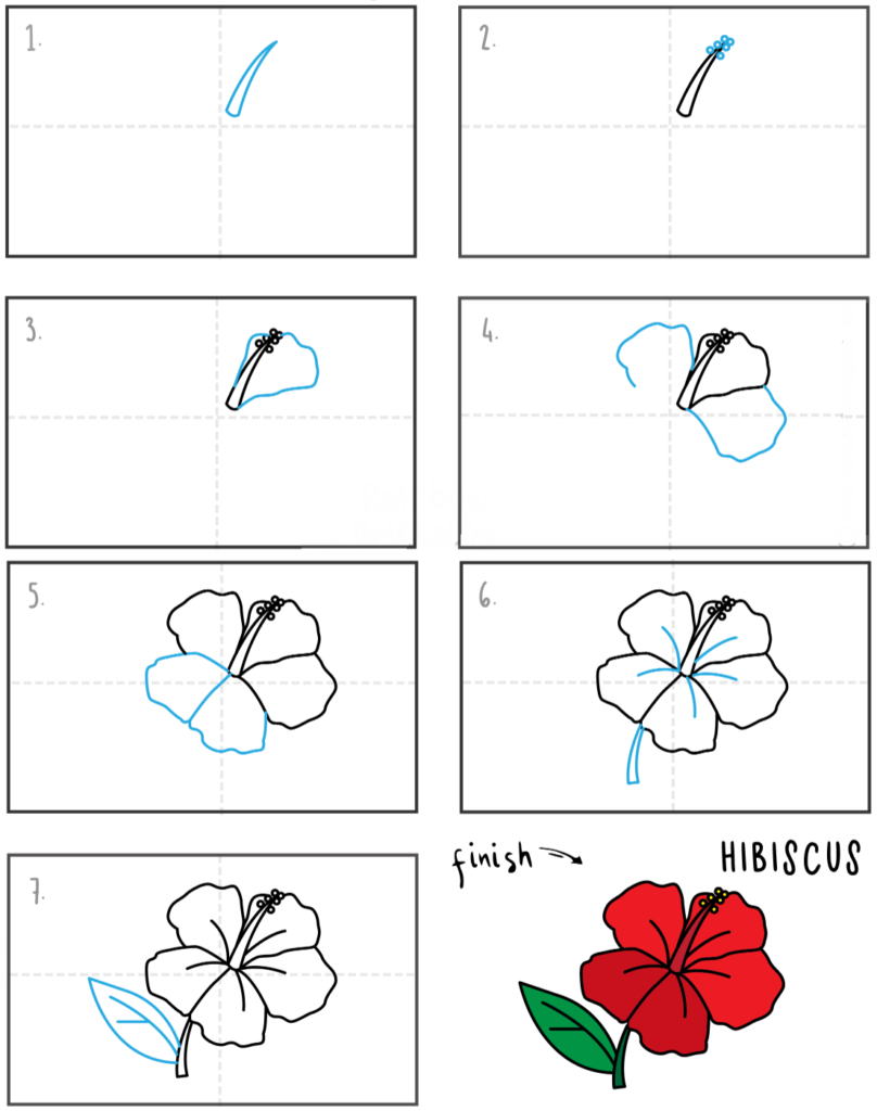 How to draw hibiscus