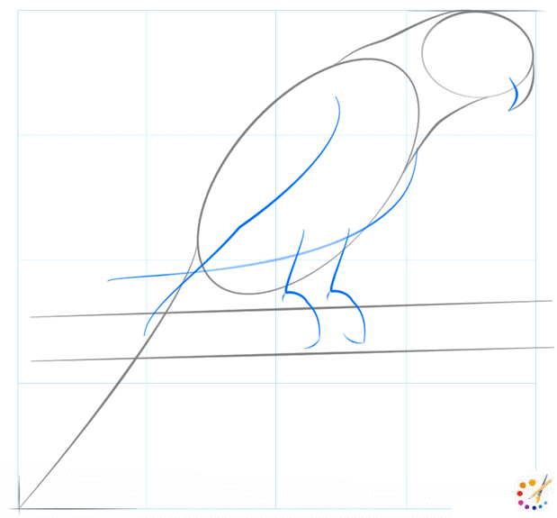 How to draw Parrot