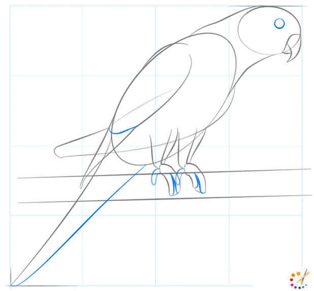 How to draw Parrot