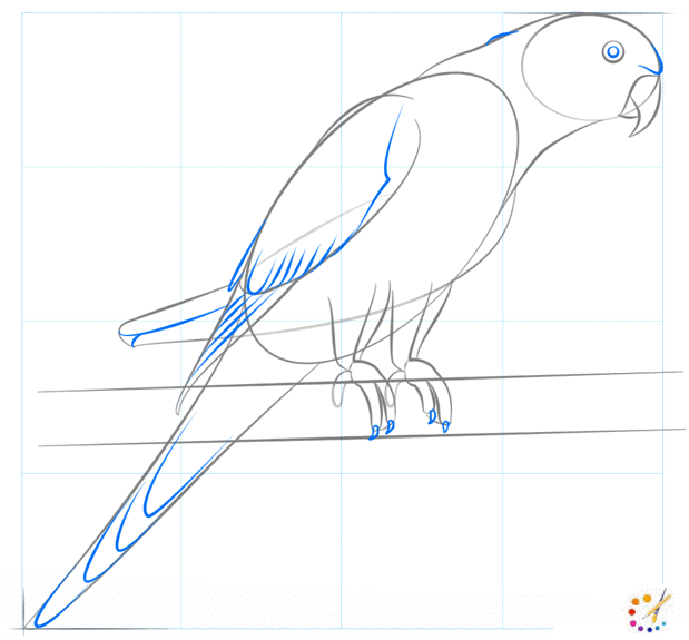 How to draw Parrot