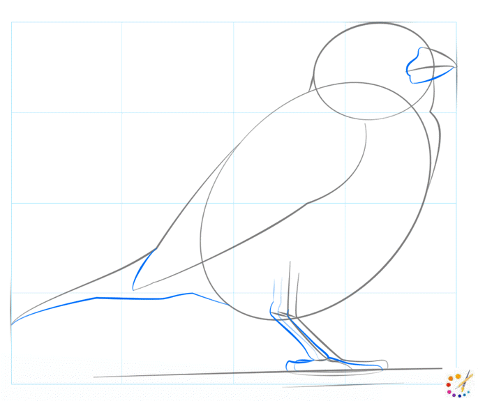 How to draw a Sparrow