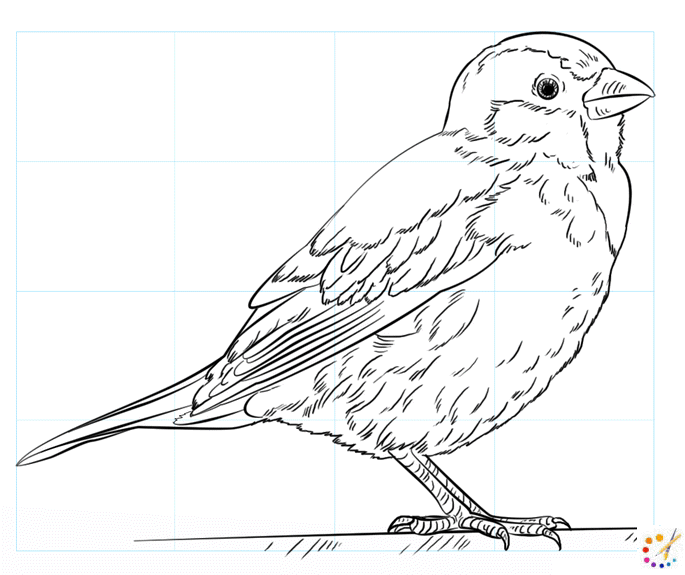 How to draw a Sparrow