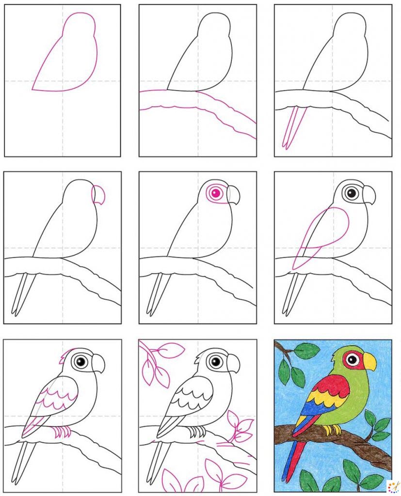 How to draw Parrot