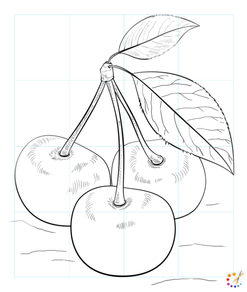 How to draw cherries