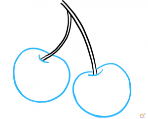 How to draw cherries