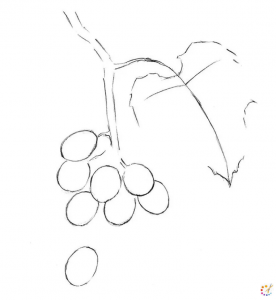 How to draw grapes 