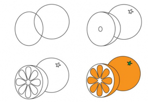 how to draw orange