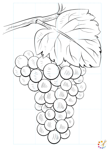 How to draw grapes 