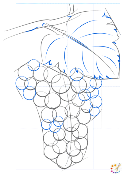 How to draw grapes 