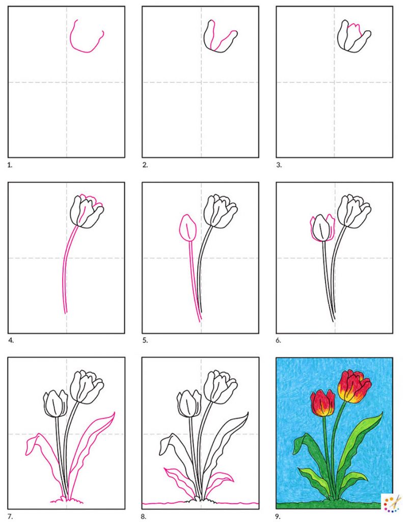 How To Draw Tulip