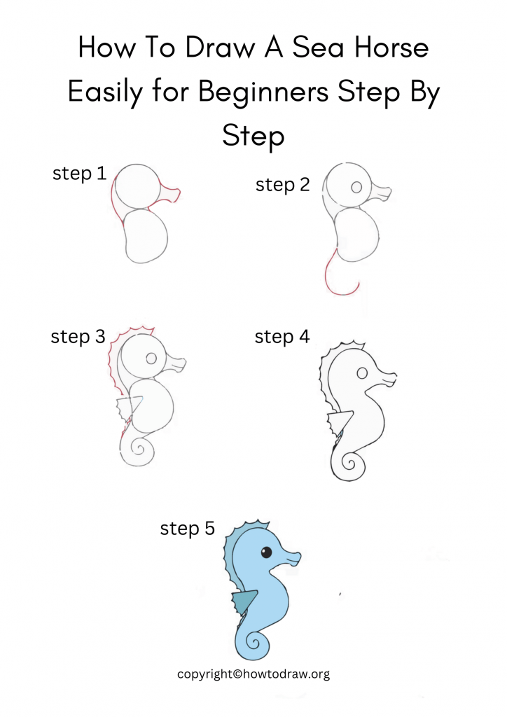 How To Draw A Sea Horse Easily for Beginners Step By Step