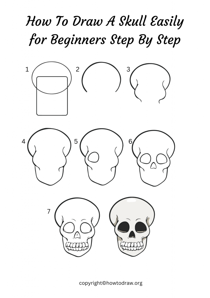 How To Draw A Skull Easily for Beginners Step By Step