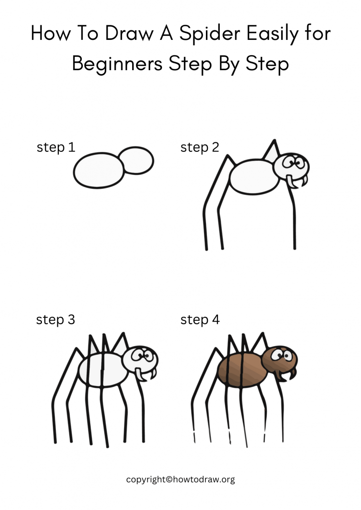 How To Draw A Spider Easily for Beginners Step By Step-1