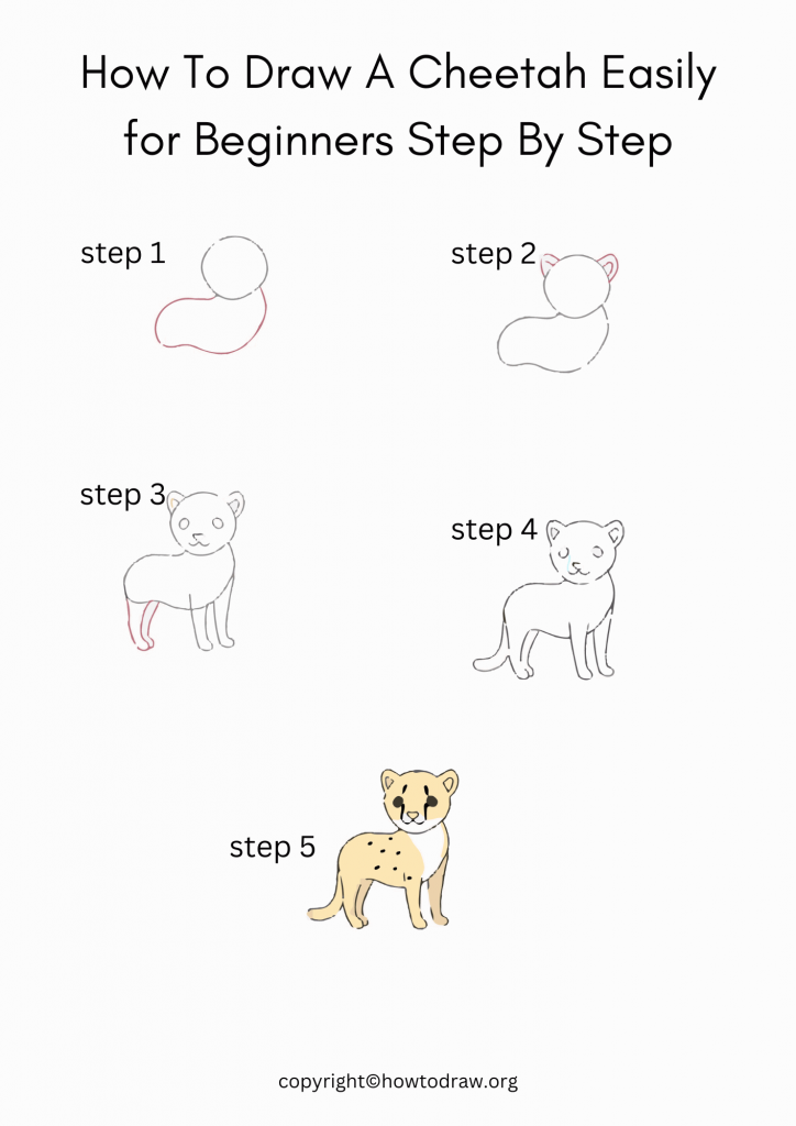 How To Draw A Cheetah Easily for Beginners Step By Step