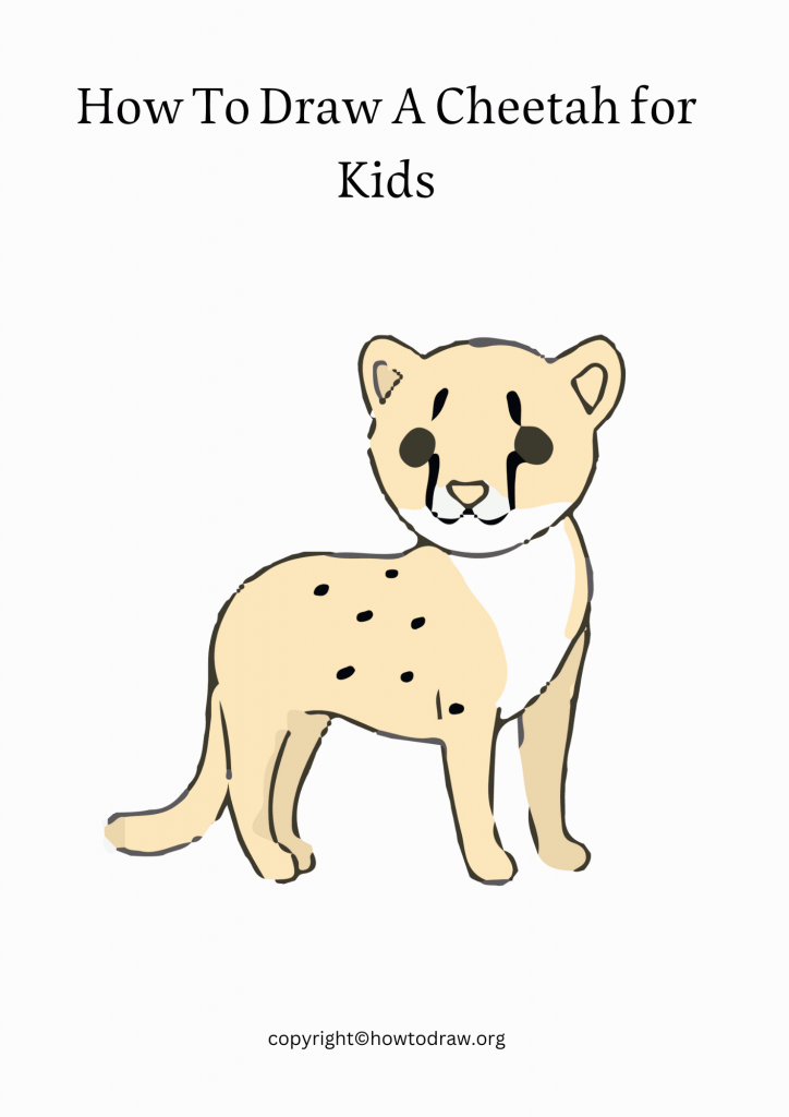 How To Draw A Cheetah for Kids