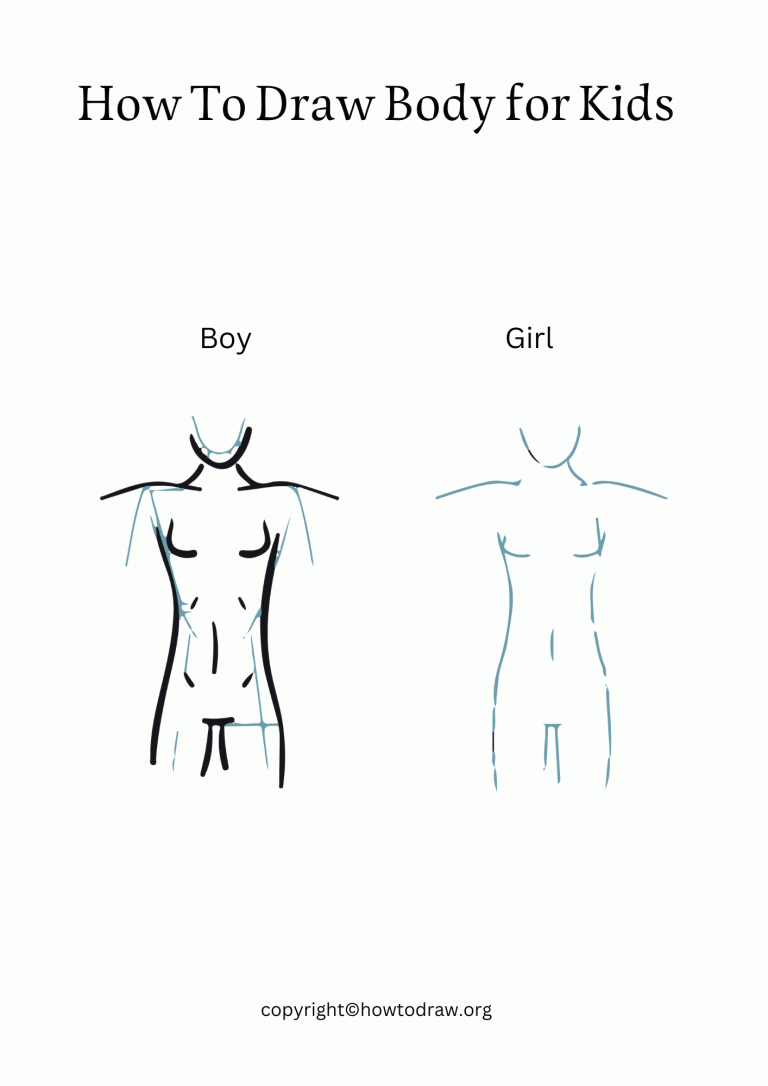 How To Draw Body Step By Step – For Kids & Beginners