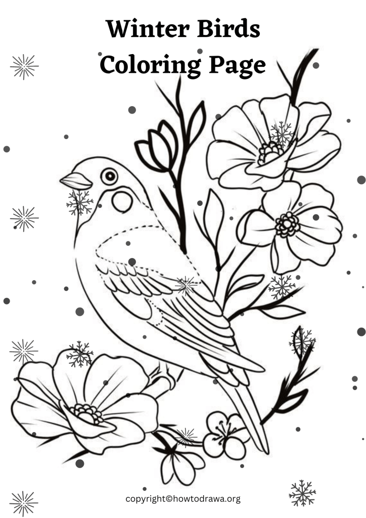 Free Winter Birds Coloring Sheets for Kids