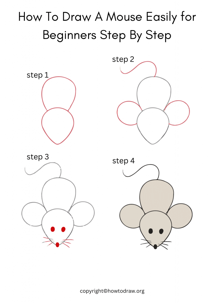 How To Draw A Mice Easily for Beginners Step By Step