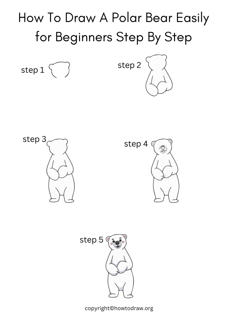 How To Draw A Polar Bear Easily for Beginners Step By Step