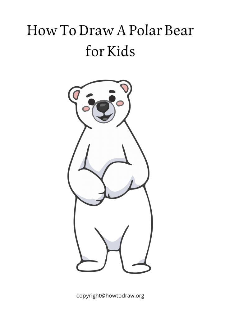 How To Draw A Polar Bear for Kids