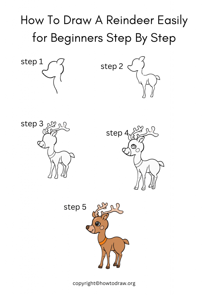 How To Draw A Reindeer Easily for Beginners Step By Step