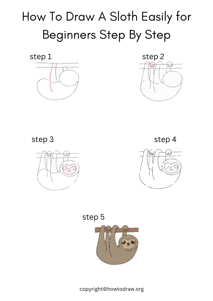 How To Draw A Sloth Easily for Beginners Step By Step