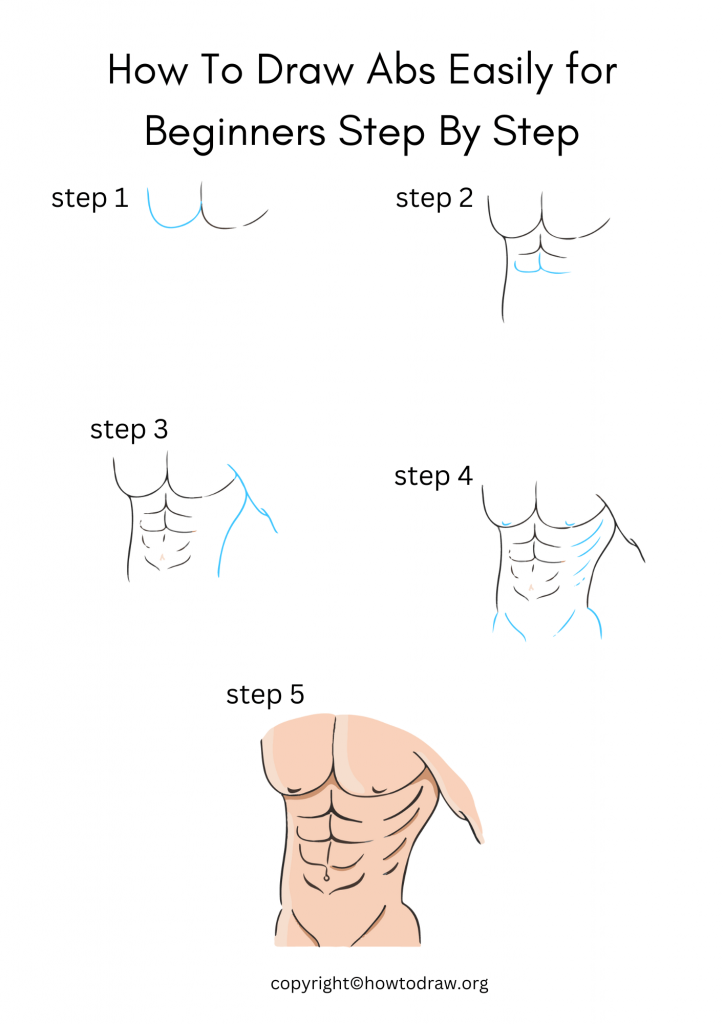 How To Draw Abs Easily for Beginners Step By Step