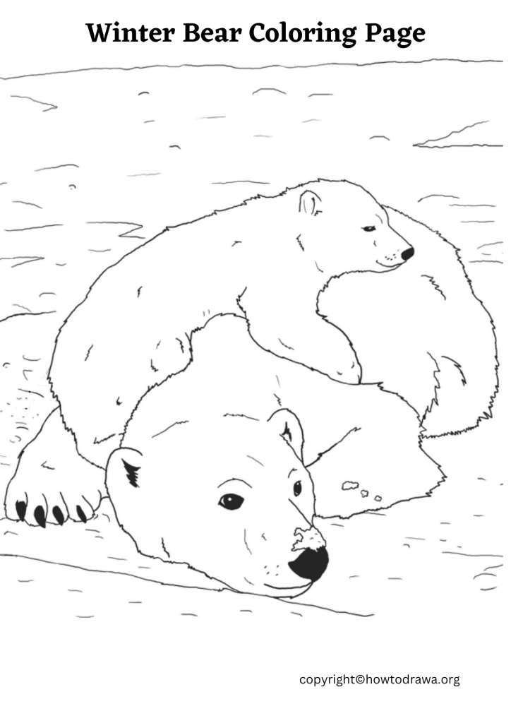 Simple Winter Bear Coloring Sheet to Print and Color