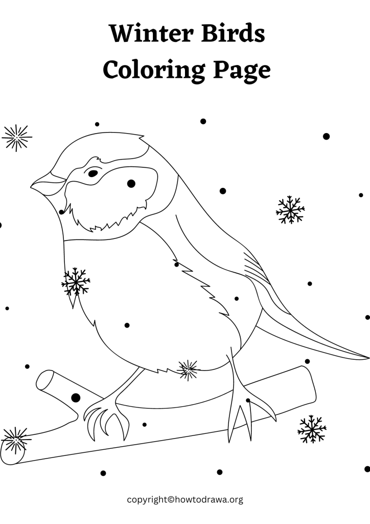 Winter Birds Coloring Page to Print and Color