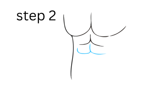 how to draw abs step 2