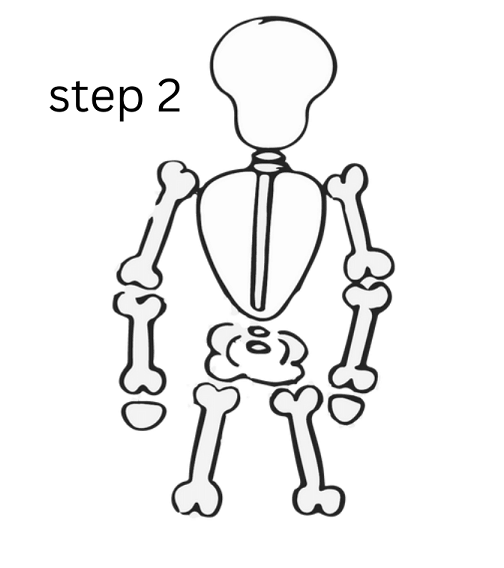 how to draw skeleton step 2