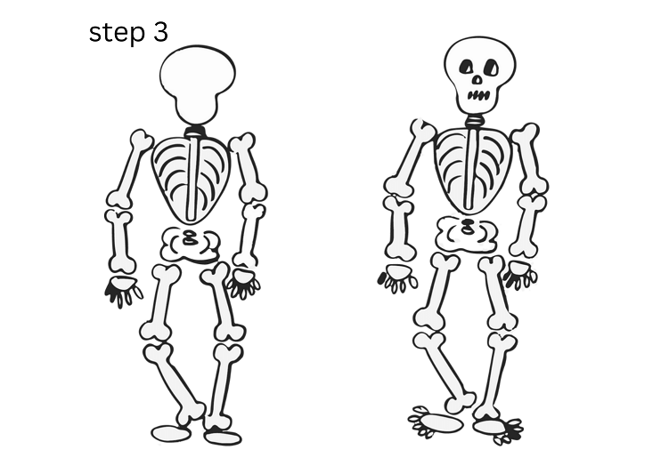 how to draw skeleton step 3