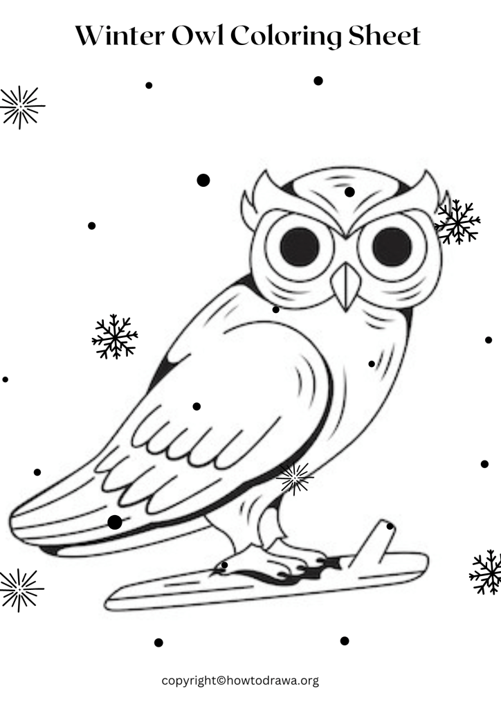 Simple Winter Owl Coloring Sheet to Print and Color