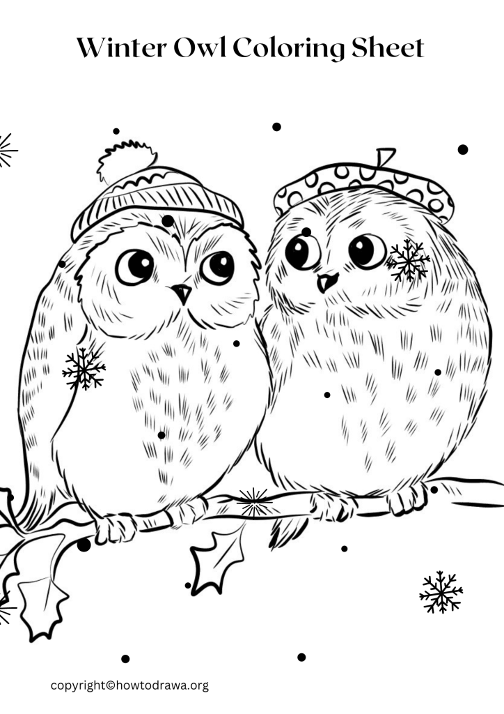 Winter Owl Coloring Sheet