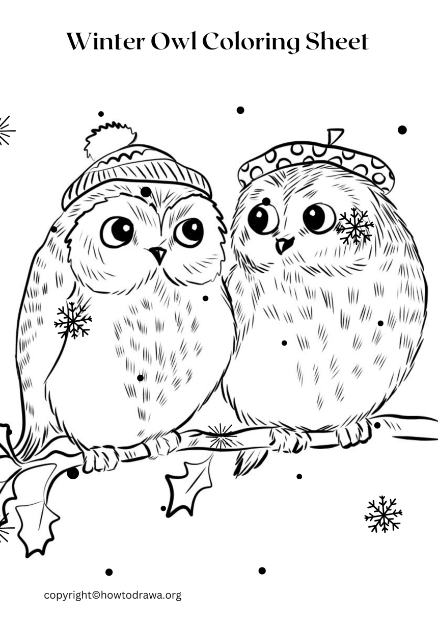 Winter Owl Coloring Sheet for Kids [Free Printable]