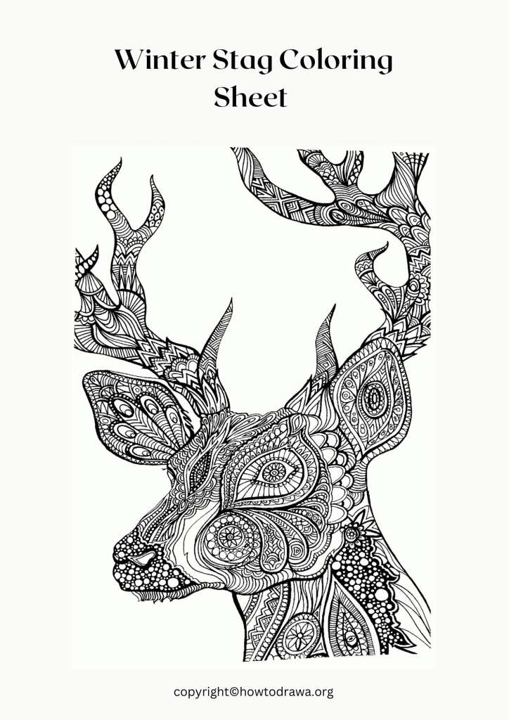 Winter Stag Coloring Page to Print and Color