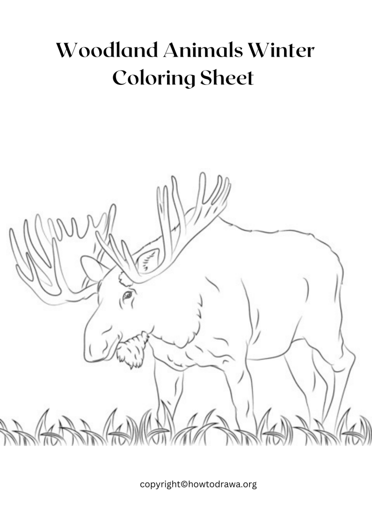 Woodland Animals Winter Coloring Sheet